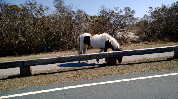 WP_20140315_13_19_08_Pro