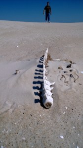 WP_20140315_14_20_06_Pro (1)