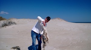 WP_20140315_14_21_12_Pro