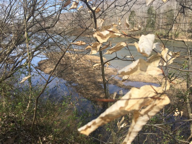 20170327_182326164_iOS