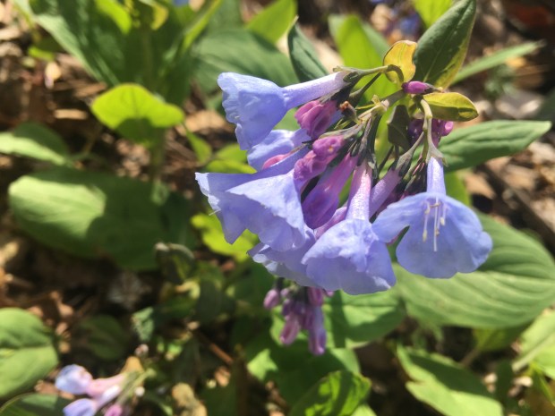 20170327_182904231_iOS