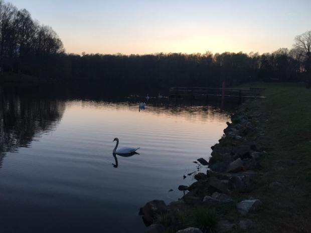 17523162_10156038021002782_2010400187076389769_n